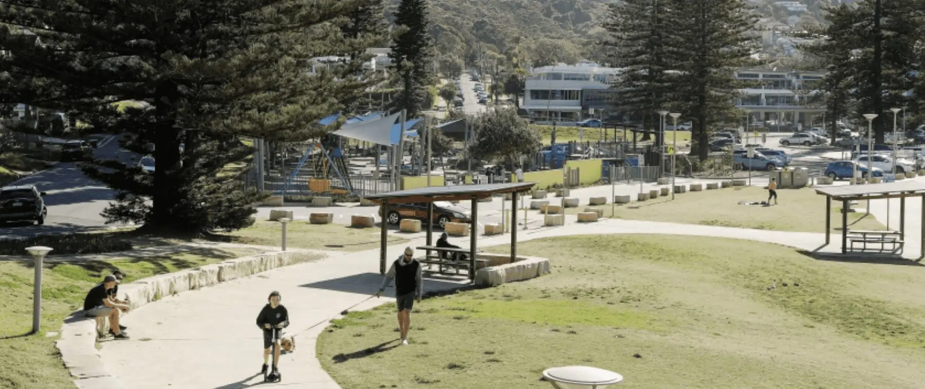 Collaroy Beach and Property Market